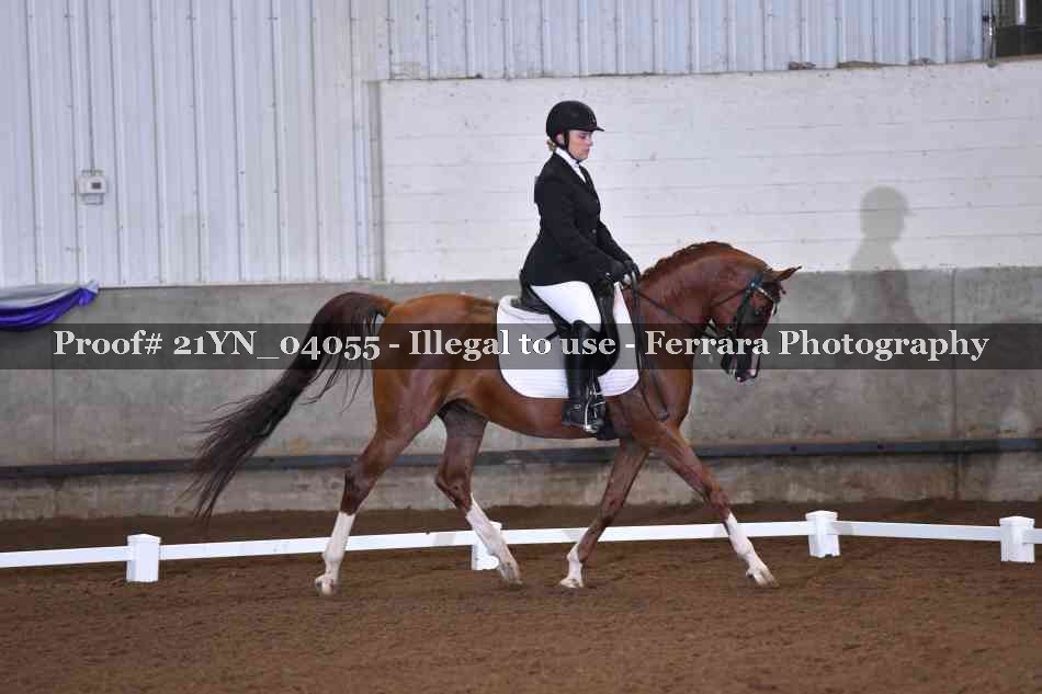 Proof 21YN_04055