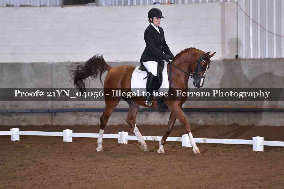 Proof 21YN_04056