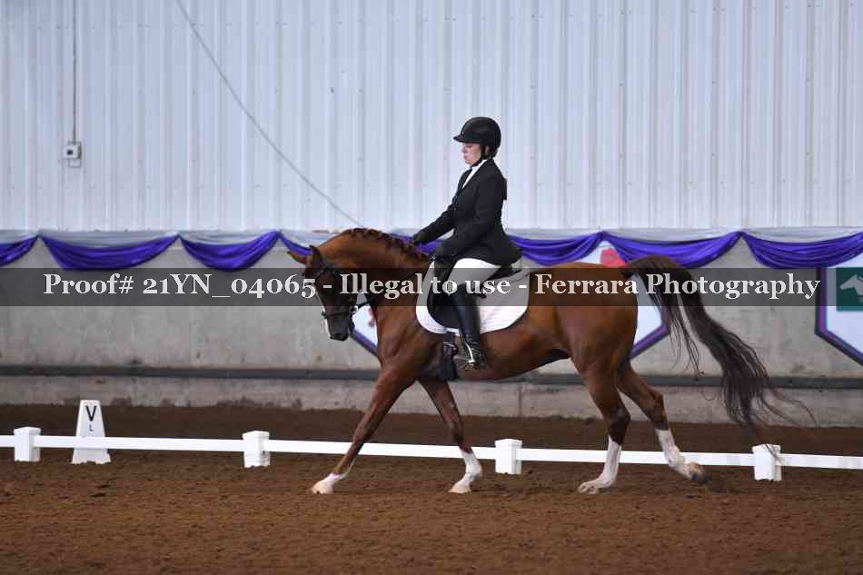 Proof 21YN_04065