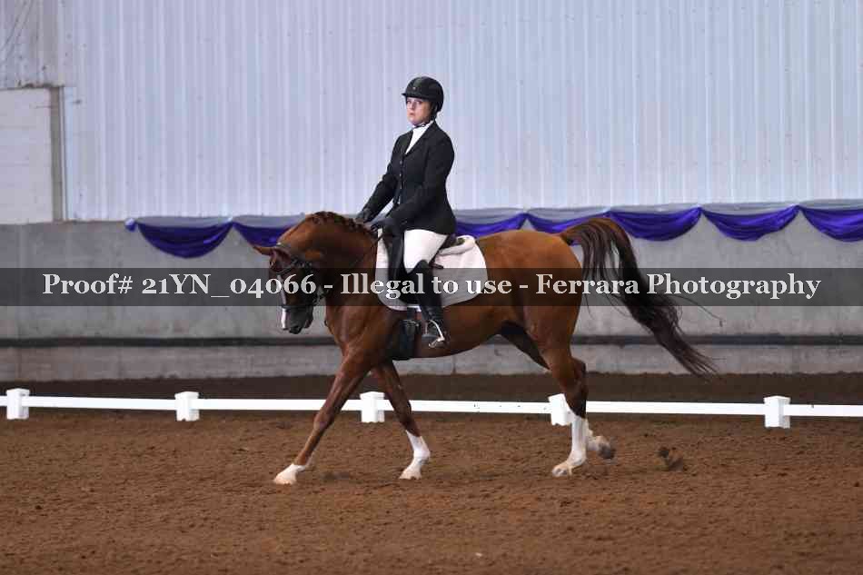 Proof 21YN_04066