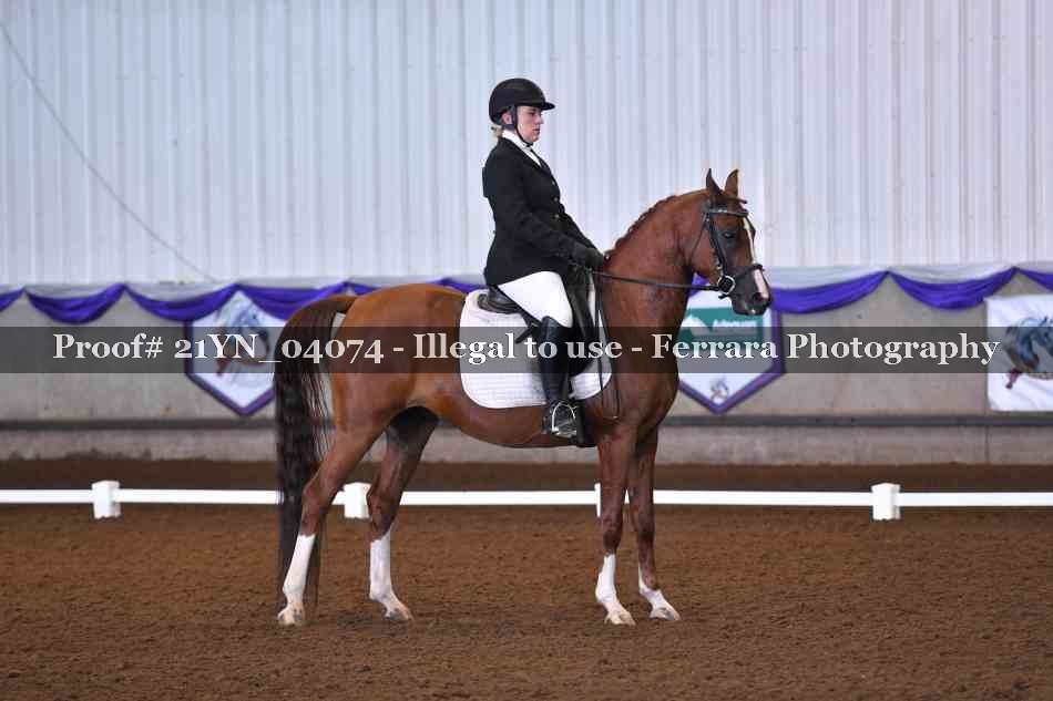Proof 21YN_04074