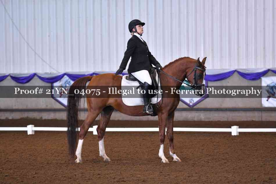Proof 21YN_04075