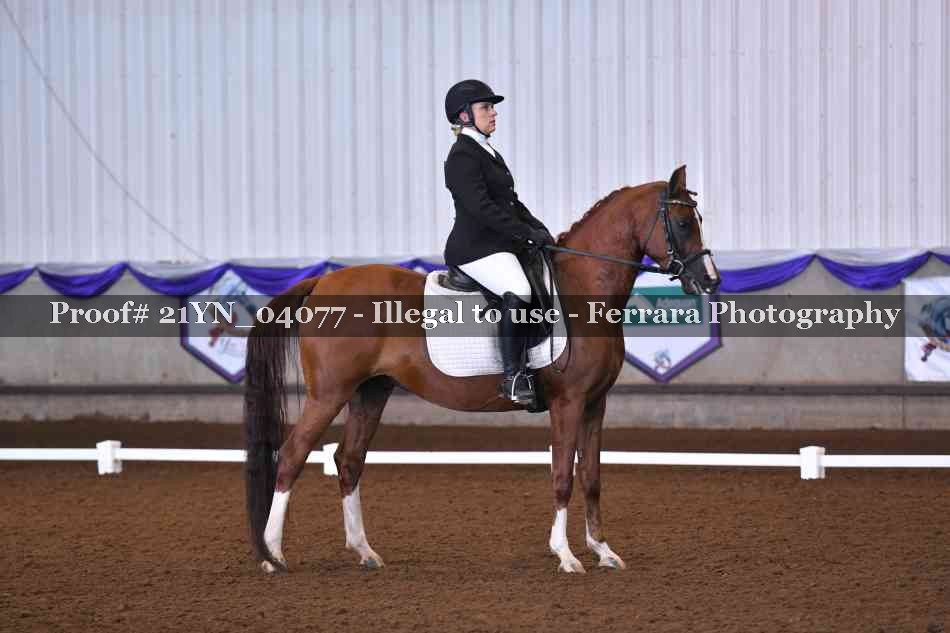 Proof 21YN_04077