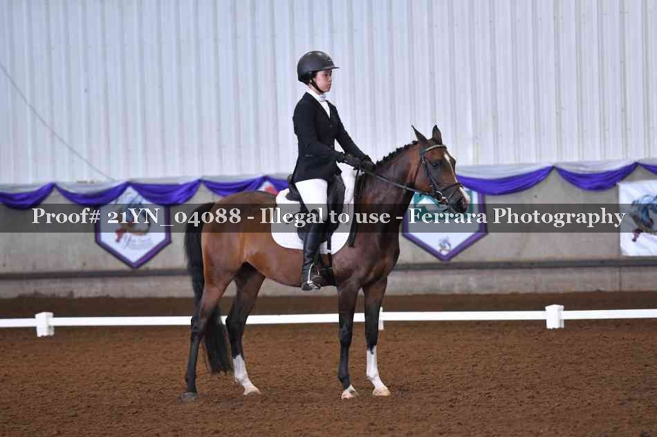 Proof 21YN_04088