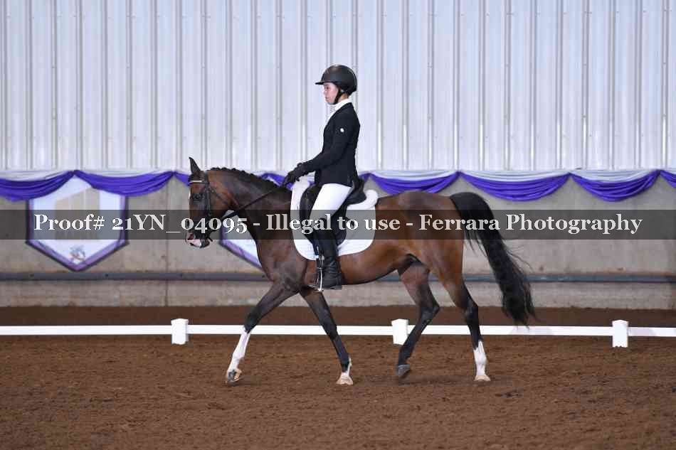 Proof 21YN_04095