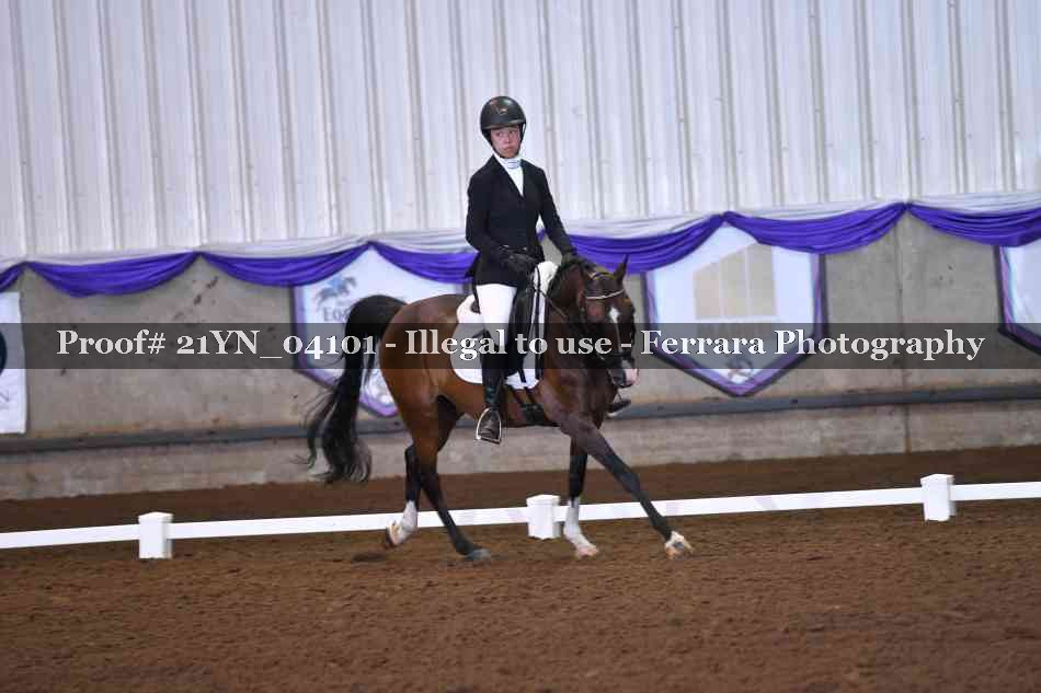 Proof 21YN_04101
