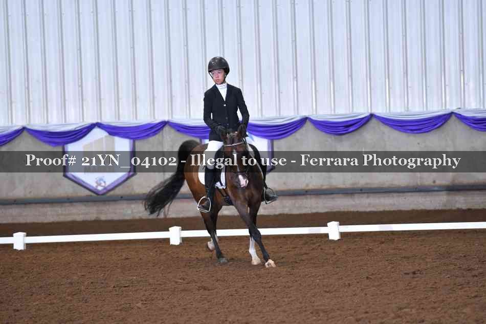 Proof 21YN_04102