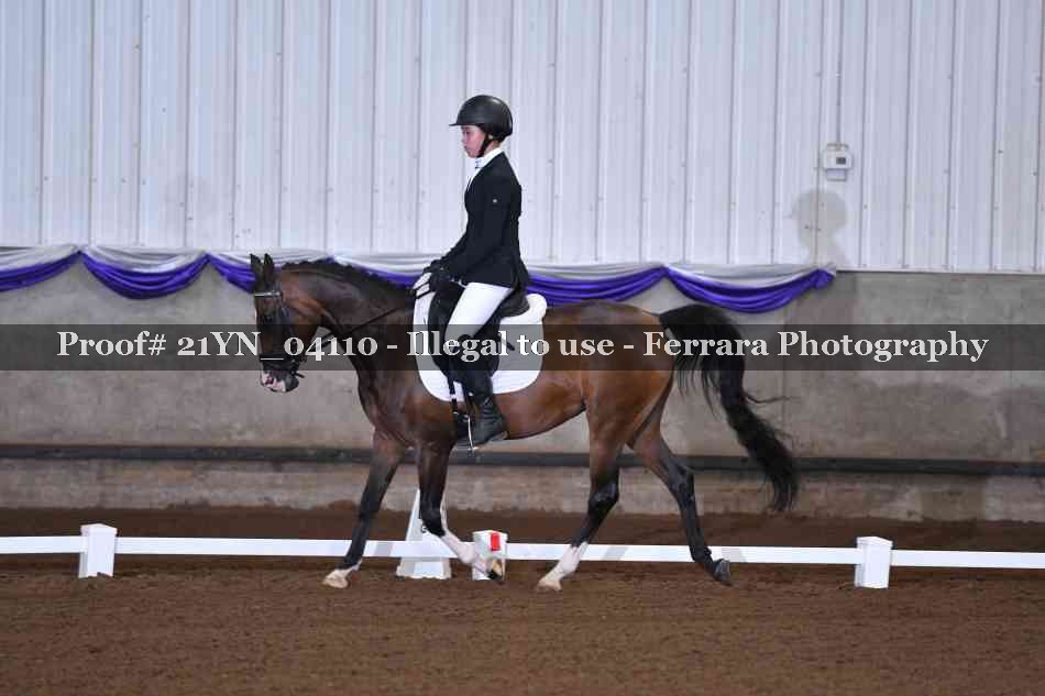 Proof 21YN_04110