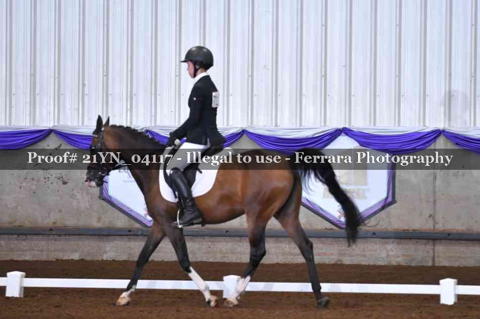 Proof 21YN_04117