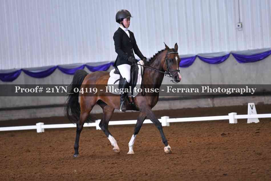 Proof 21YN_04119