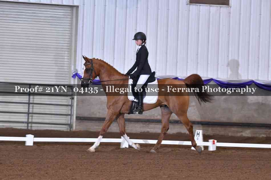 Proof 21YN_04135