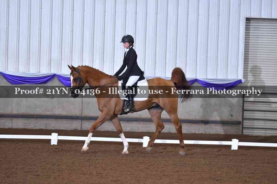 Proof 21YN_04136