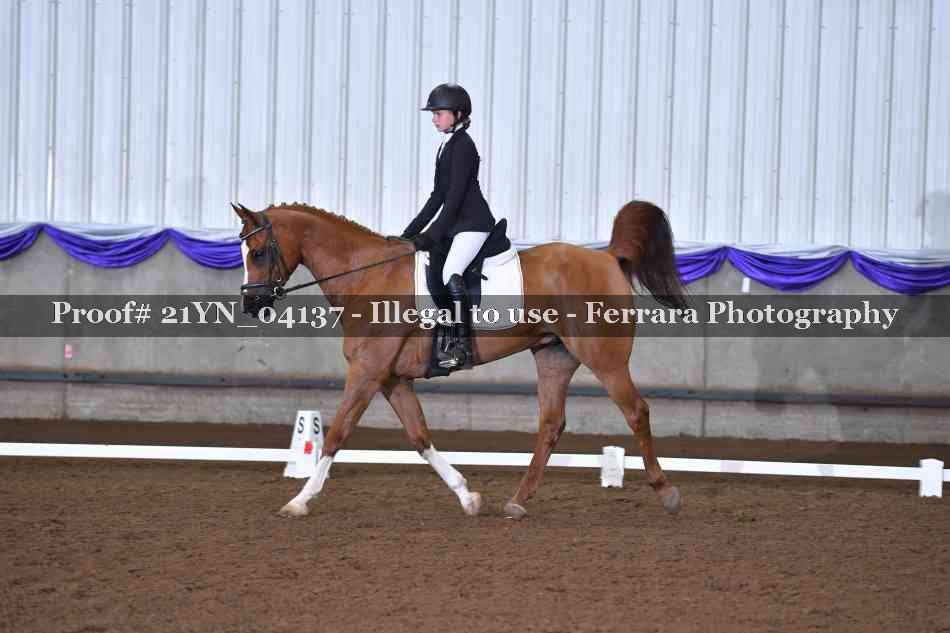 Proof 21YN_04137