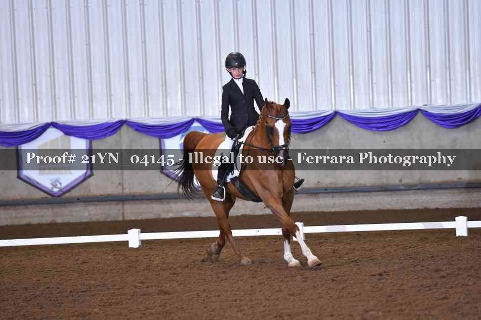 Proof 21YN_04145