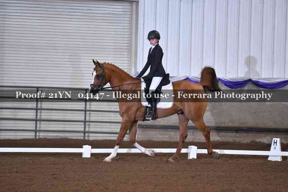 Proof 21YN_04147