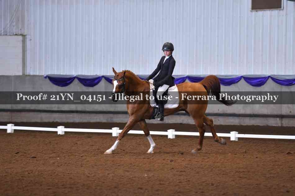 Proof 21YN_04151