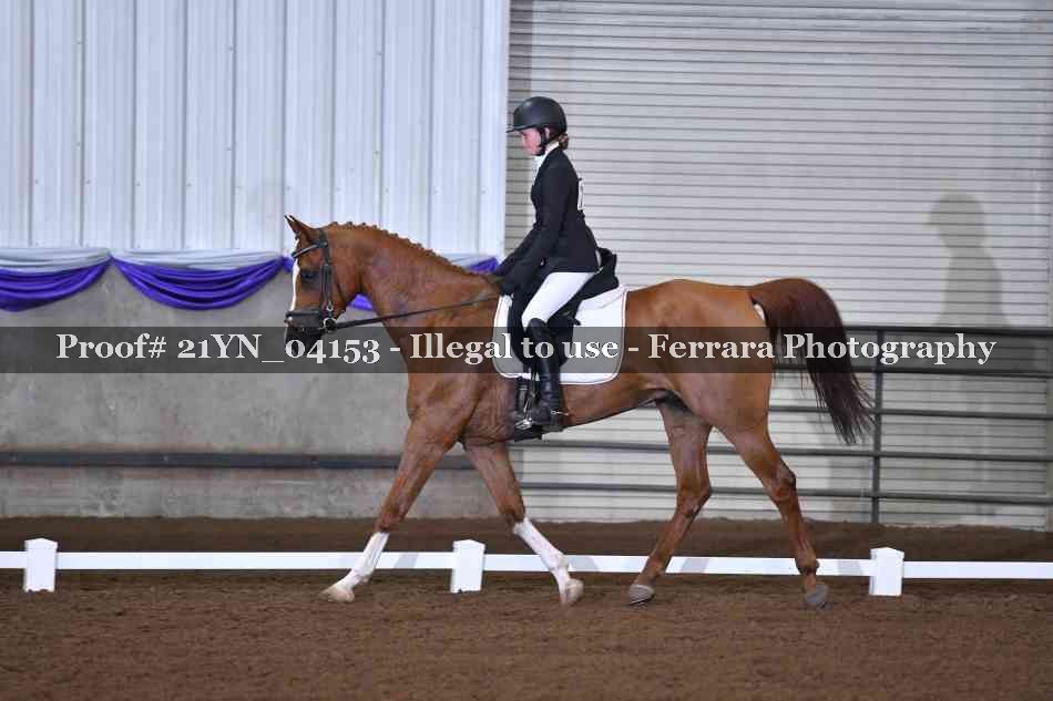 Proof 21YN_04153
