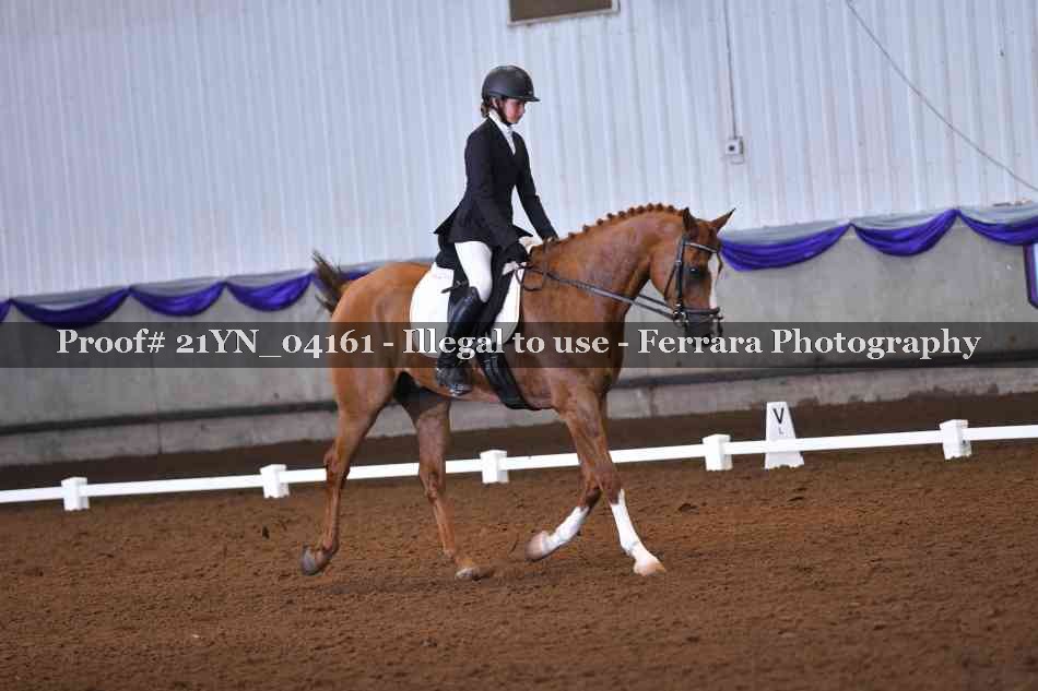 Proof 21YN_04161