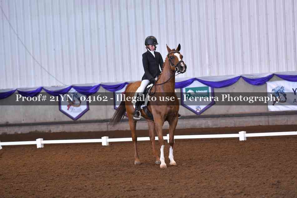 Proof 21YN_04162