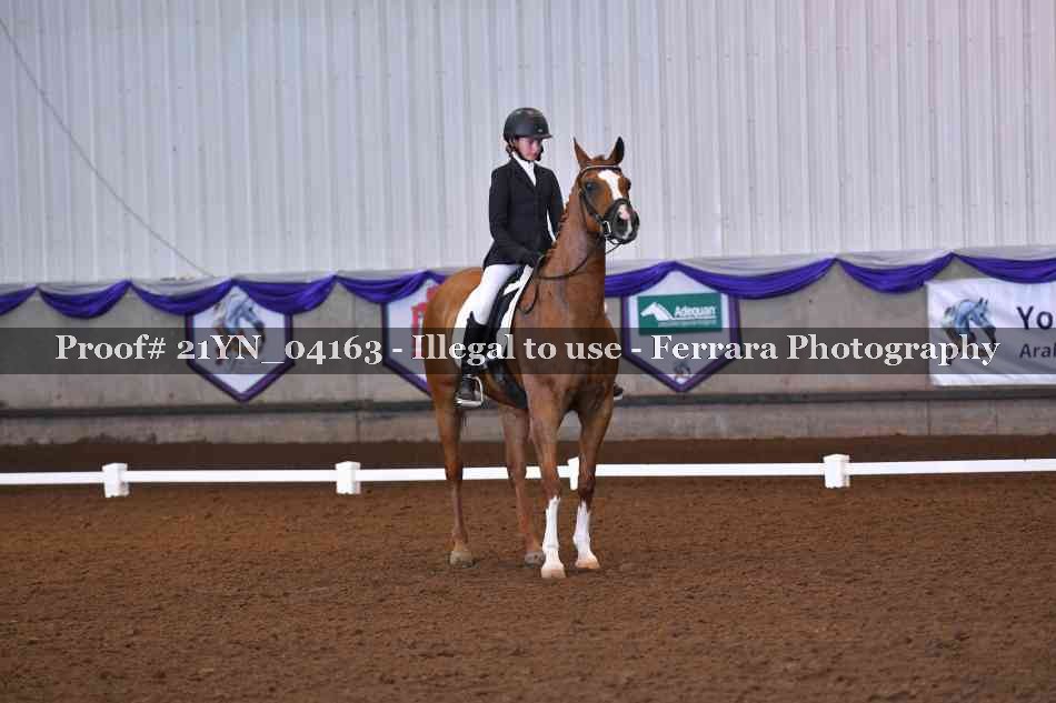 Proof 21YN_04163