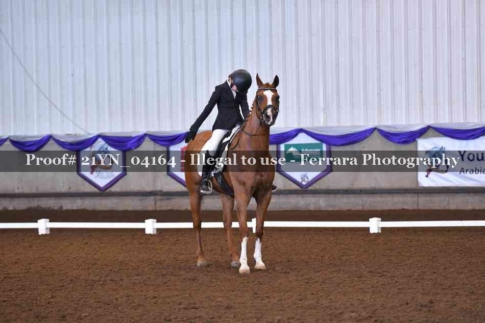 Proof 21YN_04164