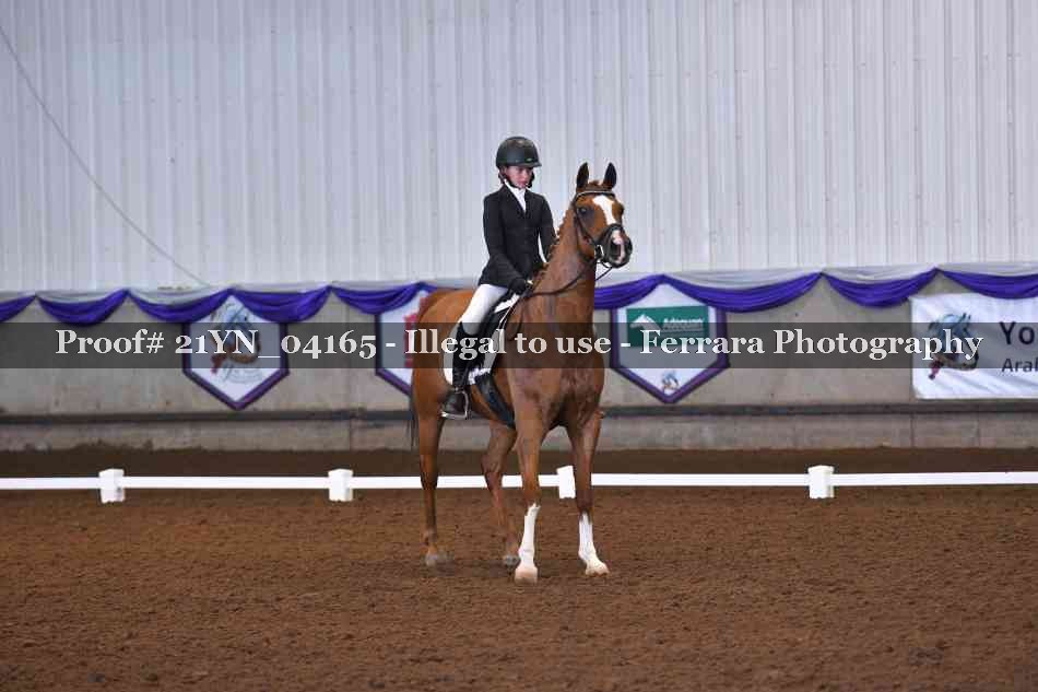 Proof 21YN_04165