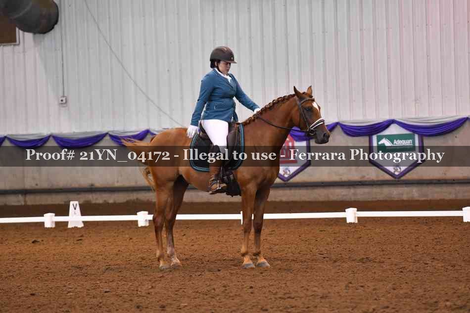 Proof 21YN_04172
