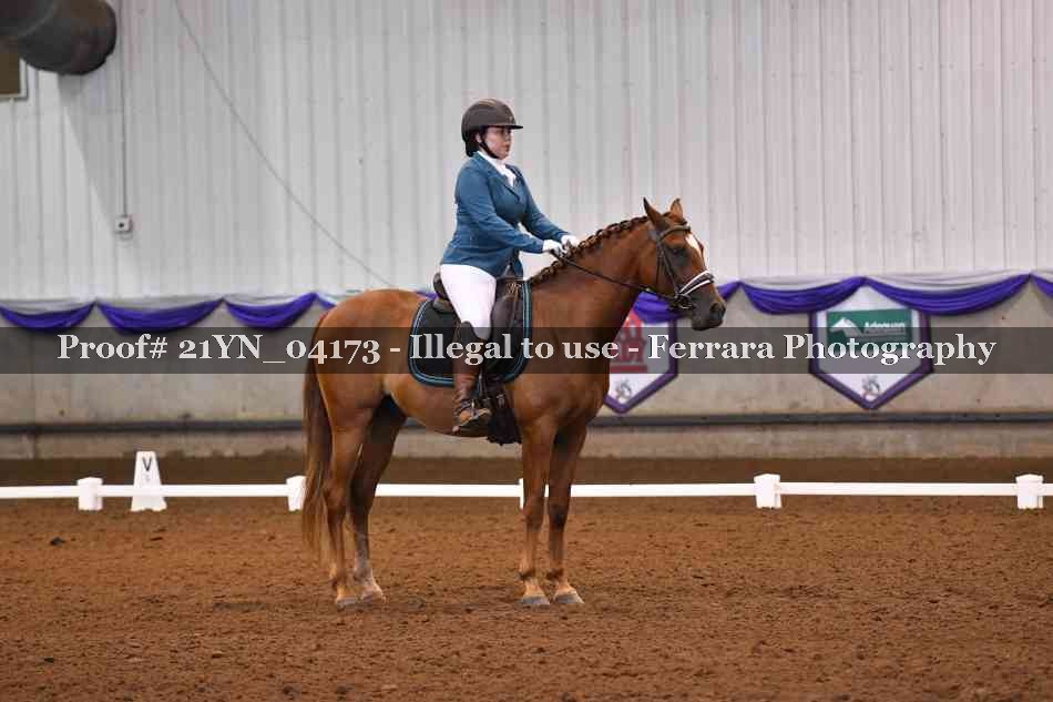 Proof 21YN_04173
