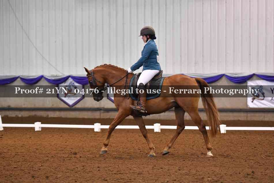 Proof 21YN_04176
