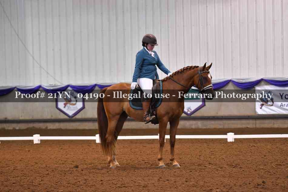 Proof 21YN_04190