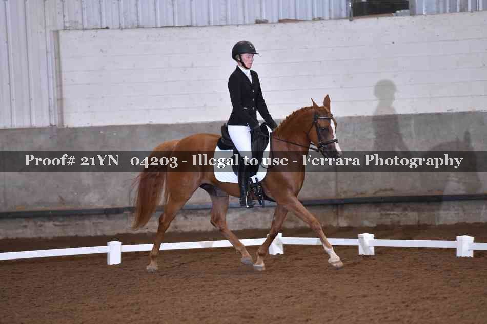 Proof 21YN_04203