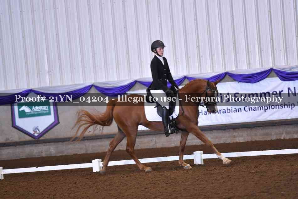 Proof 21YN_04204