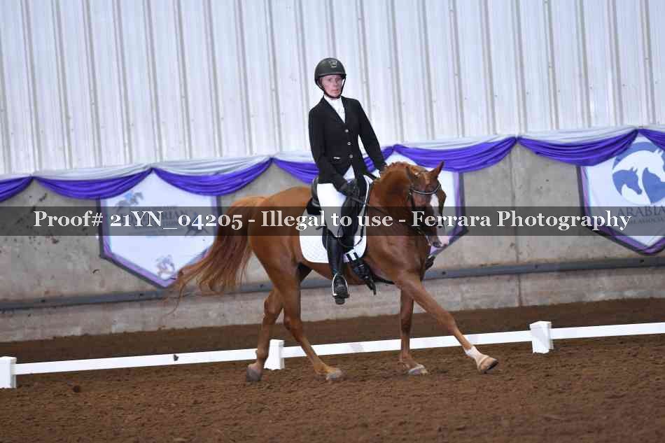 Proof 21YN_04205