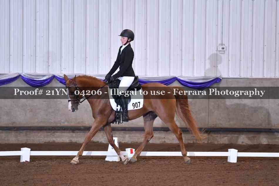 Proof 21YN_04206