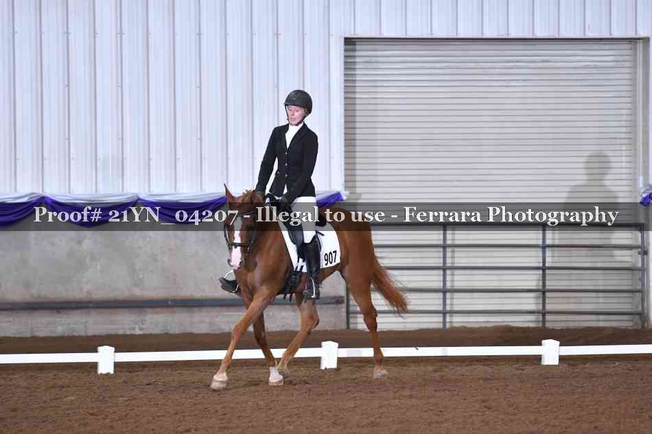 Proof 21YN_04207