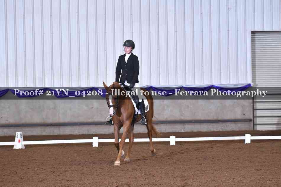Proof 21YN_04208