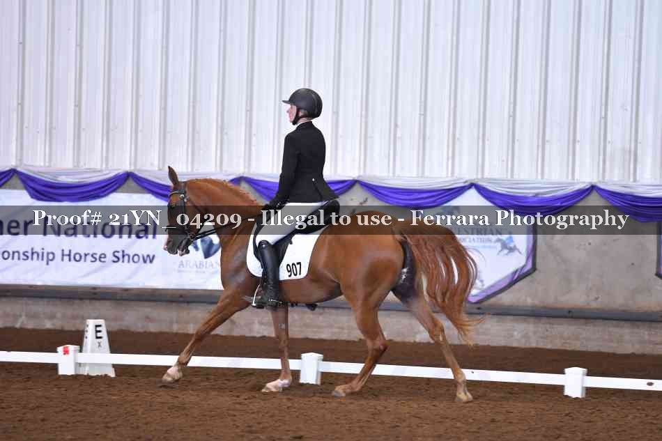 Proof 21YN_04209