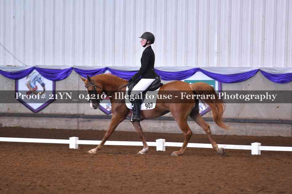 Proof 21YN_04210