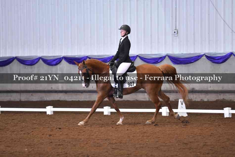 Proof 21YN_04211
