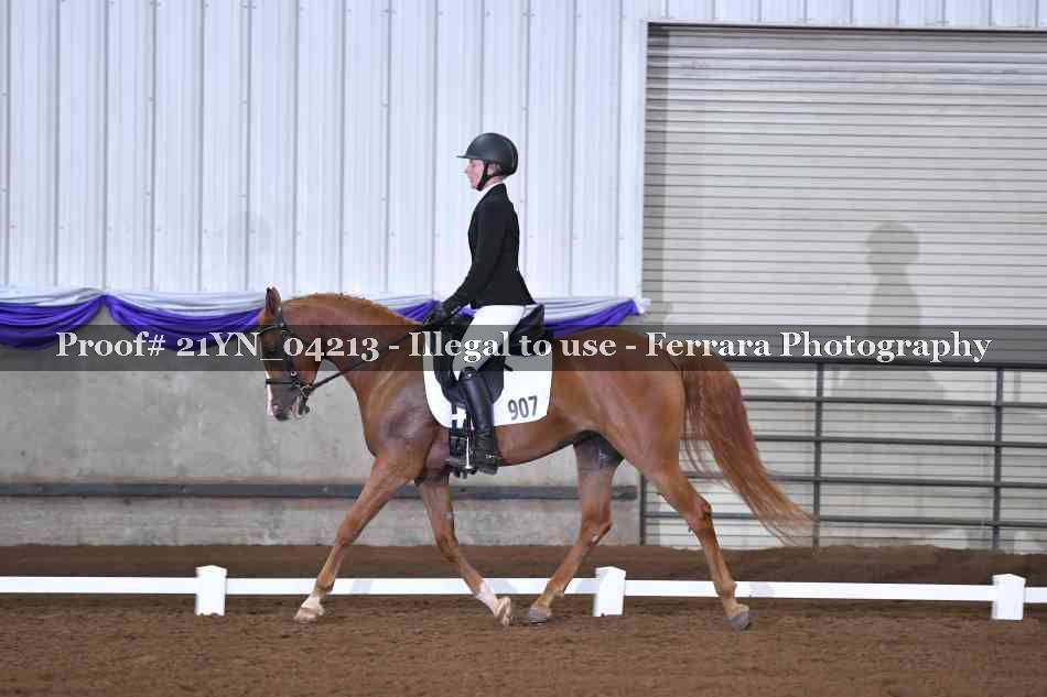 Proof 21YN_04213