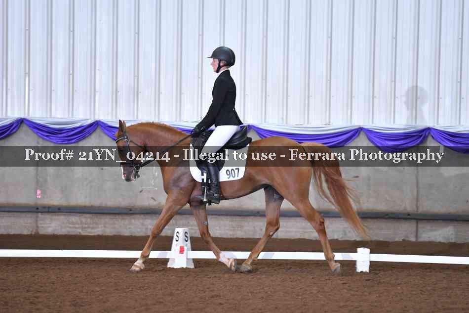 Proof 21YN_04214