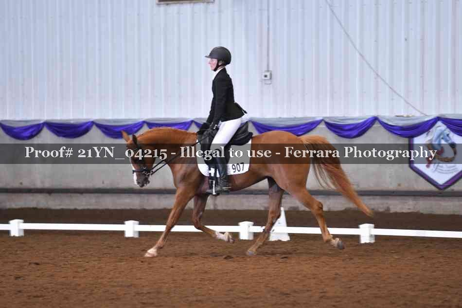 Proof 21YN_04215