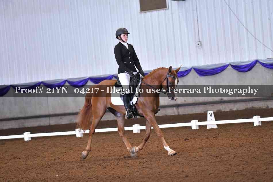 Proof 21YN_04217