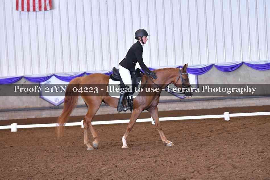 Proof 21YN_04223