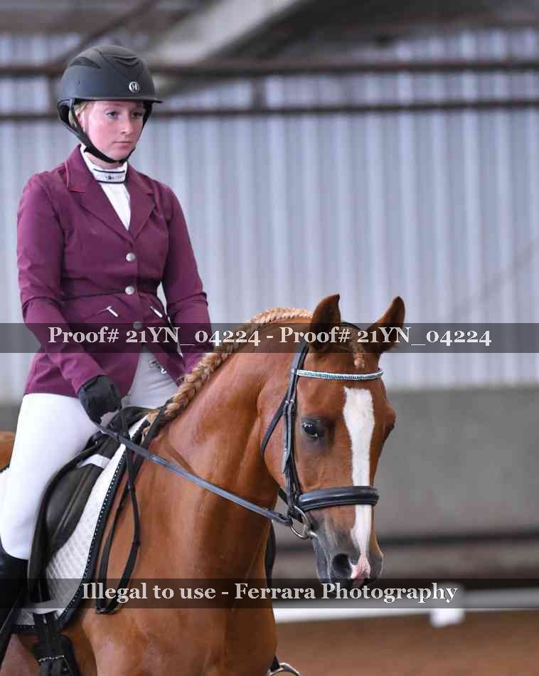 Proof 21YN_04224