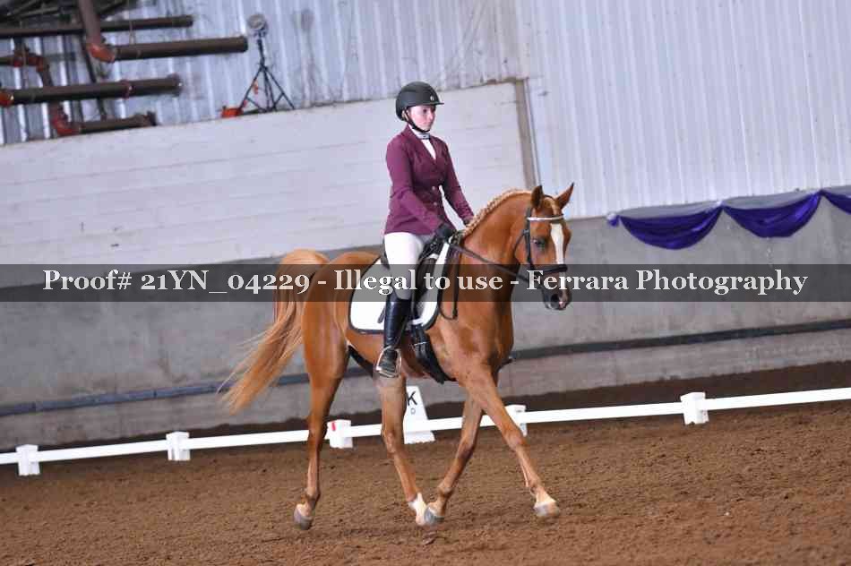 Proof 21YN_04229
