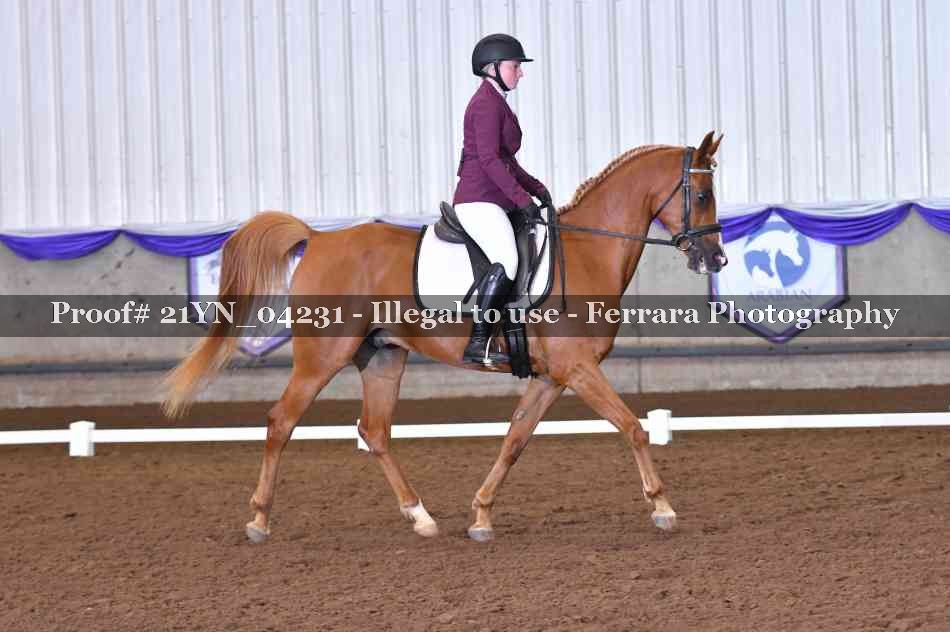 Proof 21YN_04231