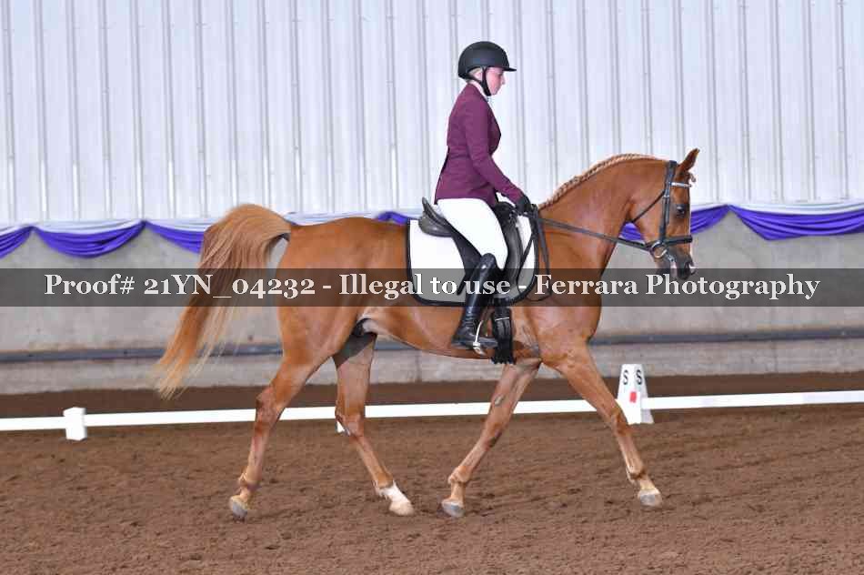 Proof 21YN_04232