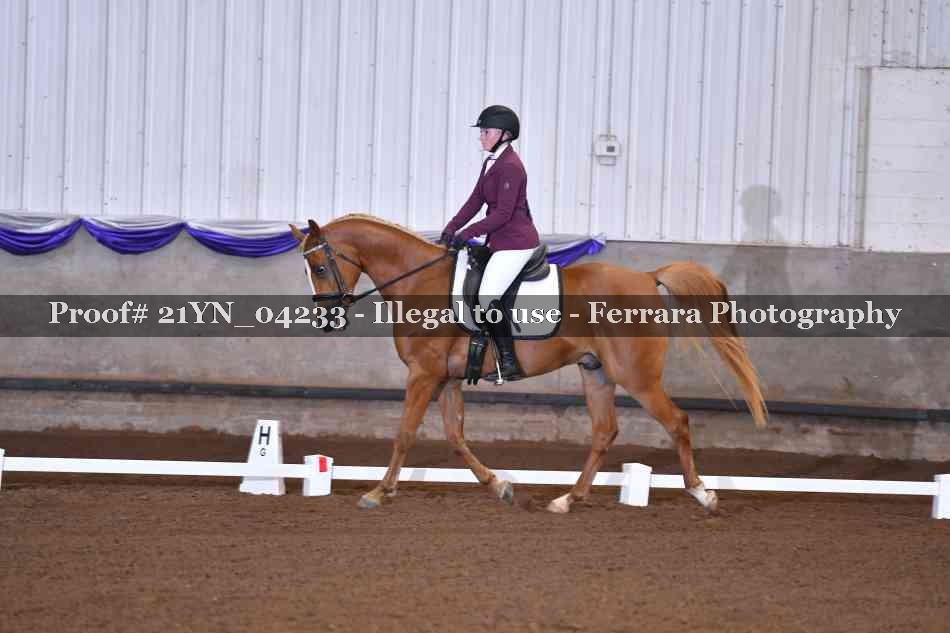 Proof 21YN_04233