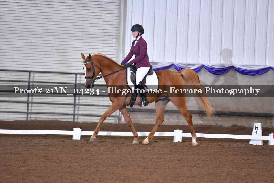 Proof 21YN_04234